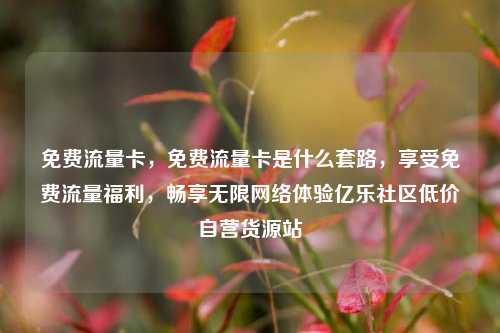 免费流量卡，免费流量卡是什么套路，享受免费流量福利	，畅享无限网络体验亿乐社区低价自营货源站  第1张