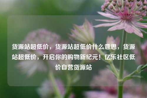 货源站超低价	，货源站超低价什么意思，货源站超低价，开启你的购物新纪元！亿乐社区低价自营货源站  第1张