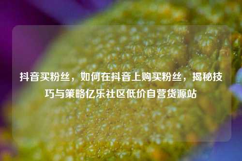 抖音买粉丝，如何在抖音上购买粉丝，揭秘技巧与策略亿乐社区低价自营货源站  第1张