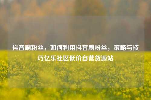 抖音刷粉丝，如何利用抖音刷粉丝	，策略与技巧亿乐社区低价自营货源站  第1张