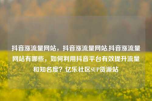 抖音涨流量网站	，抖音涨流量网站,抖音涨流量网站有哪些，如何利用抖音平台有效提升流量和知名度？亿乐社区SUP货源站  第1张