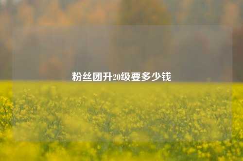 粉丝团升20级要多少钱  第1张