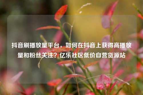 抖音刷播放量平台，如何在抖音上获得高播放量和粉丝关注？亿乐社区低价自营货源站  第1张