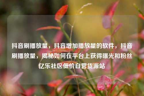 抖音刷播放量，抖音增加播放量的软件	，抖音刷播放量，揭秘如何在平台上获得曝光和粉丝亿乐社区低价自营货源站  第1张